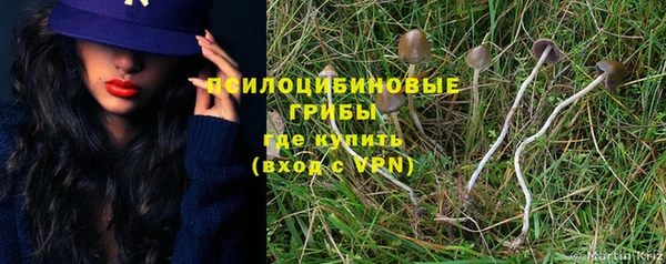 прущие крисы Лихославль