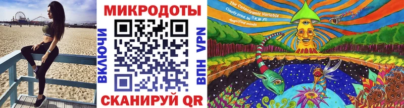 kraken как зайти  Королёв  Галлюциногенные грибы Psilocybe 